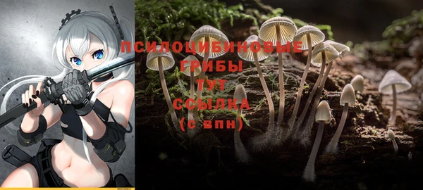 эйфоретик Алексеевка