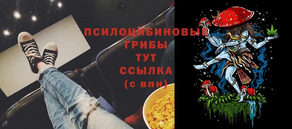 бошки Усмань