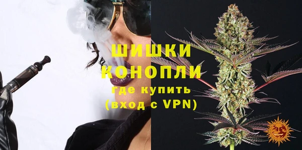 дурь Арсеньев